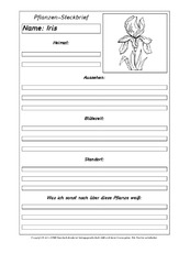 Pflanzensteckbriefvorlage-Iris-SW.pdf